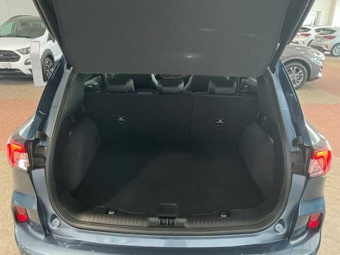 Ford Kuga Plug-In Hybrid Vignale PDC. RÜCKF. NAVI. Winter-P 