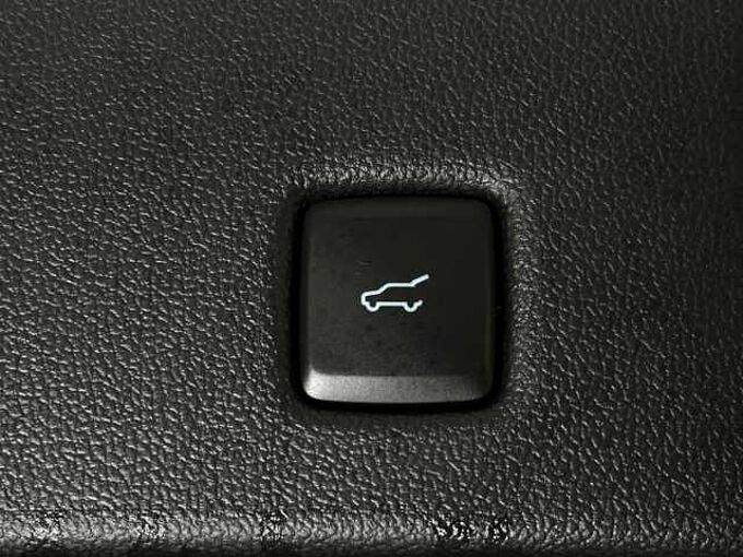 Ford Kuga Vignale+Automatik+AHK+B&O+Head-Up+Key-Free 