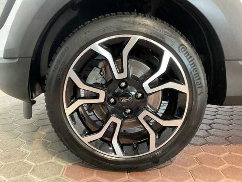Ford EcoSport Active+LED+B&O+Kamera+Navi+Key Free