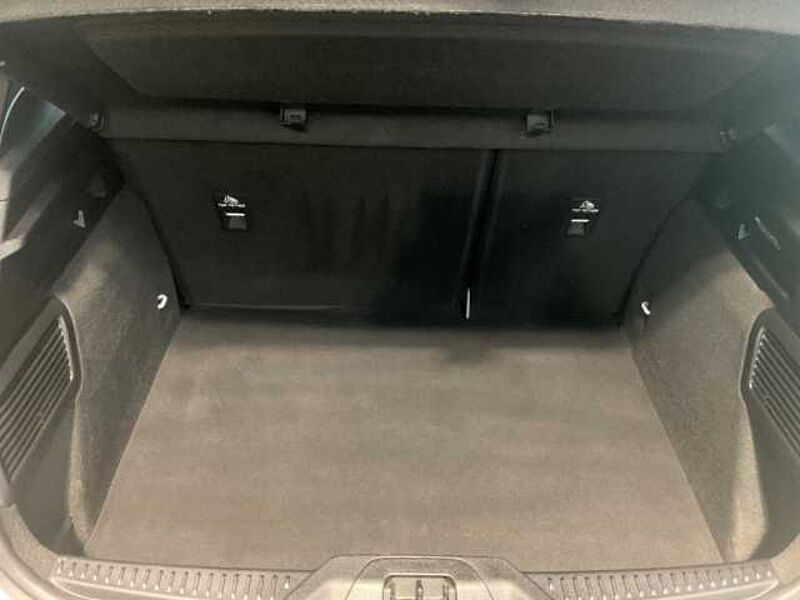 Ford Focus ST-Line X AHK. Pano. Winter-P. Rückf.