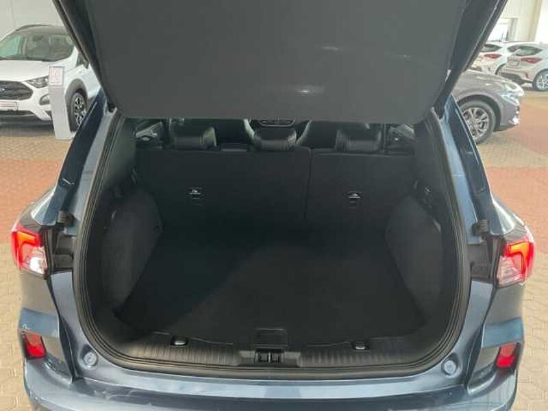 Ford Kuga Plug-In Hybrid Vignale PDC. RÜCKF. NAVI. Winter-P