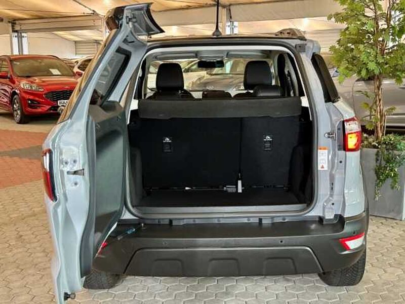 Ford EcoSport Active+Kamera+BLIS+Winter-P. +Tempo