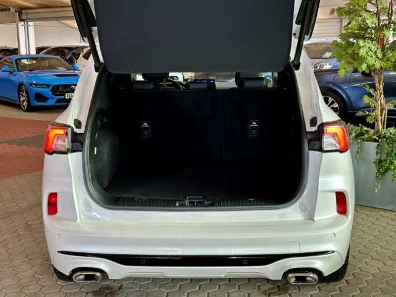 Ford Kuga Vignale+Automatik+AHK+B&O+Head-Up+Key-Free