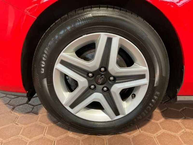 Ford Focus Cool & Connect Winter-P. PDC vorne + hinten