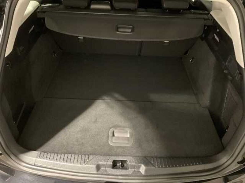 Ford Focus Turnier Titanium RÜCKF. PDC. Winter-P